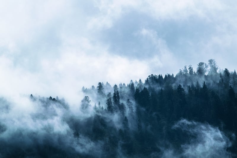 Ethereal Chants